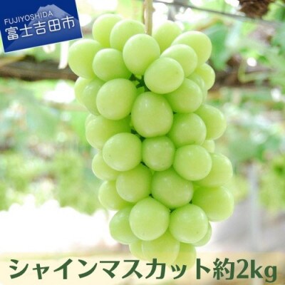 果樹王国 やまなし から シャインマスカット約2kg(2～5房)
