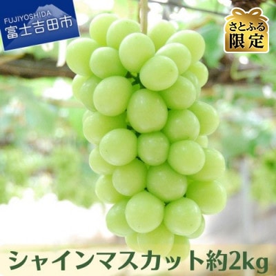 【さとふる限定】果樹王国 やまなし から シャインマスカット約2kg(2～5房)