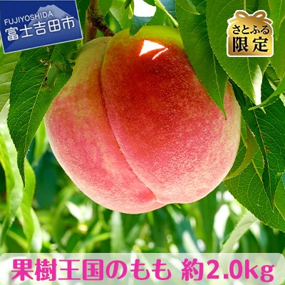 【さとふる限定】果樹王国 やまなし の桃　約2kg(4～7玉)