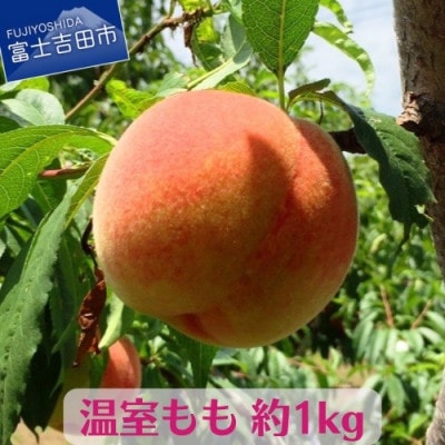 果樹王国”やまなし”から<旬を先取り>温室もも4～7玉(約1kg)