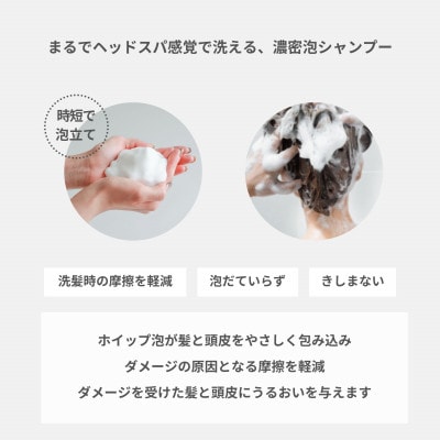 「ベストシャンプー10傑」に選ばれたダメージヘアケアセット 美容室仕様 泡シャンプーとトリートメント