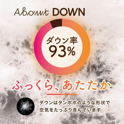 英国V&Aコレクションの華麗なデザインを採用したふんわり羽毛掛けふとん　ダウン93%シングルベージュ