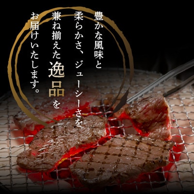 【山梨県産 富士山麓牛】霜降り・赤身焼き肉セット(計約600g) 焼肉・バーベキュー用