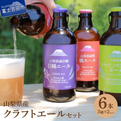 山梨県産 クラフトビール エール6本セット(桃・巨峰・シャインマスカット) 飲み比べ 3種×2本