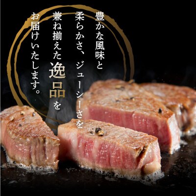 富士山麓牛　サーロイン・ヒレステーキ&肩ロース薄切りセット