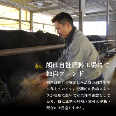 富士山麓牛　サーロイン・ヒレステーキ&肩ロース薄切りセット