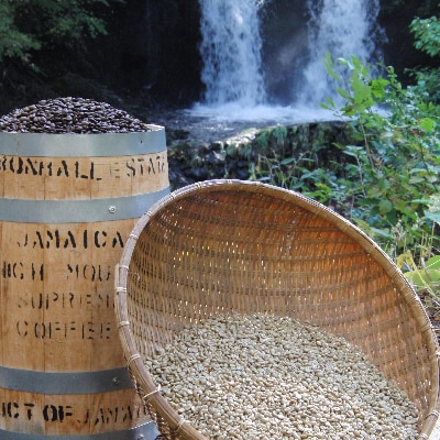 【訳あり】動物保護支援 ブレンド コーヒー豆200g×2袋計400g SDGsふるさと納税で国際貢献