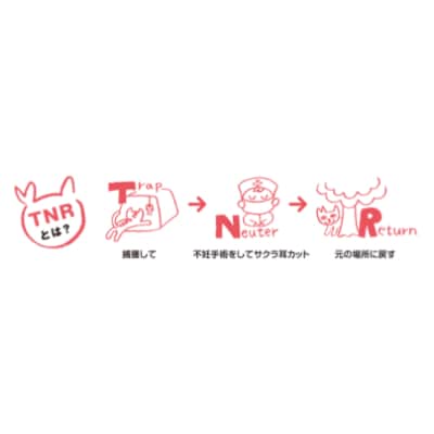 【訳あり】コーヒー 豆 800g ふるさと納税で動物保護 さくらねこ 野良猫 TNR活動 支援