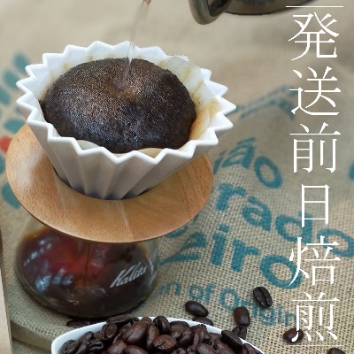 【訳あり】コーヒー 粉 800g ふるさと納税で動物保護 さくらねこ 野良猫 TNR活動 支援