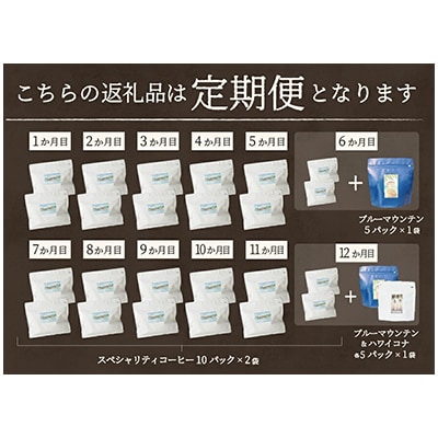 【毎月定期便】訳あり　八百万ブレンド　ドリップ全12回