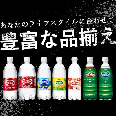 【強炭酸水】ウィルキンソン タンサン&ウメ 500ml×各24本 計48本 梅 アサヒ飲料