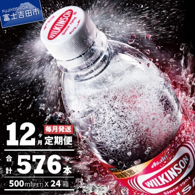 【毎月定期便】【12ヶ月お届け!】強炭酸水 ウィルキンソン タンサン2箱 (48本)全12回