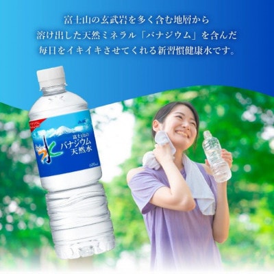 【毎月定期便】【6か月お届け】「アサヒおいしい水」富士山のバナジウム天然水 1箱24本入全6回