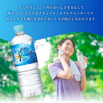【毎月定期便】【3か月お届け】「アサヒおいしい水」天然水富士山 2箱(計48本)600ml全3回