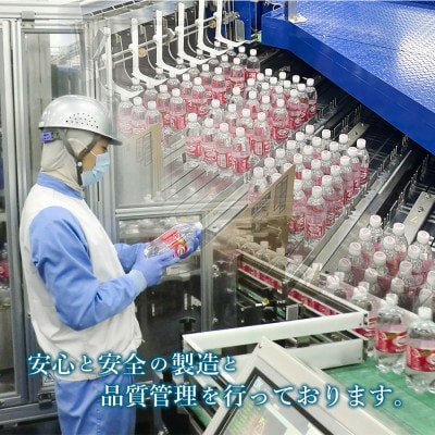 【毎月定期便】【3ヶ月お届け!】強炭酸水 ウィルキンソン タンサン 1L×2箱(計24本)全3回