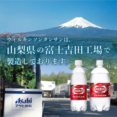 【毎月定期便】強炭酸水 ウィルキンソン タンサン500ml×1箱(24本入)アサヒ飲料全12回