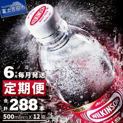 【毎月定期便】強炭酸水 ウィルキンソン タンサン500ml×2箱(48本入) アサヒ飲料全6回