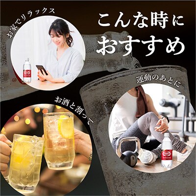 2023年2月発送開始『定期便』炭酸水 ウィルキンソン タンサン 24本入全3回
