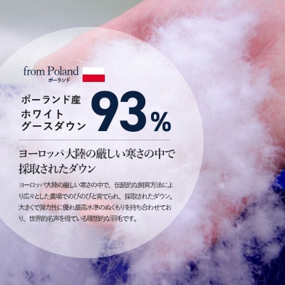 羽毛布団セミダブル 掛け布団 本掛け 厚手 ポーランド産グース 青雀色 抗菌 防臭 防ダニ 国産
