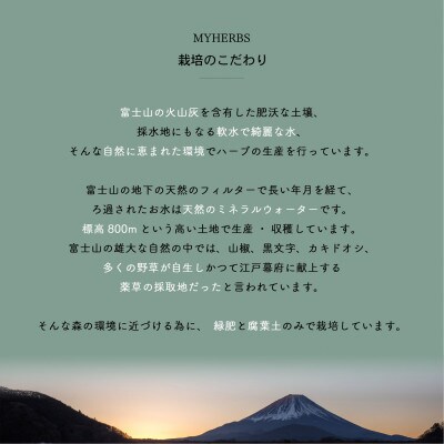 ハーブティー(ミント&レモン)ティーパック20個