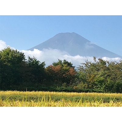 令和2年【美富士の夢来】厳選米2kg×2袋セット　富士吉田市産