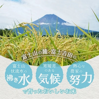 令和6年産  美富士の夢来 厳選米 五百川5kg 白米 真空パック 山梨県富士吉田市産