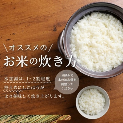 令和6年産  美富士の夢来 厳選米 五百川5kg 白米 真空パック 山梨県富士吉田市産