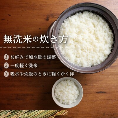 令和6年産 無洗米 精米1合×15個セット 真空パック『美富士の夢来ゴールド』 小分けパック