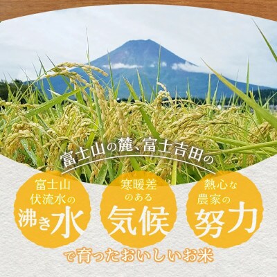 令和6年産 無洗米 精米1合×15個セット 真空パック『美富士の夢来ゴールド』 小分けパック