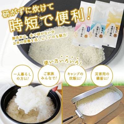 令和6年産 無洗米 精米1合×15個セット真空パック『美富士の夢来ミルキークイーン』小分けパック