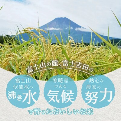 令和6年産 無洗米 精米1合×15個セット 真空パック『美富士の夢来五百川』 小分けパック