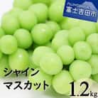 シャインマスカット 約1.2kg(2房)