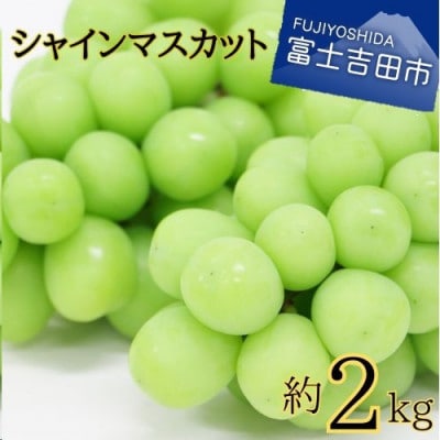 シャインマスカット 約2kg