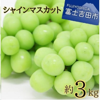シャインマスカット 約3kg