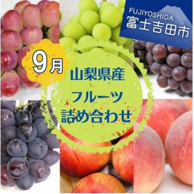【2024年9月より順次発送】旬のお任せフルーツボックス