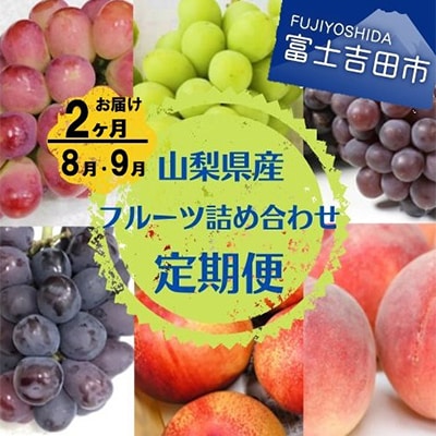 【発送月固定定期便】旬のお任せフルーツボックス定期便 全2回