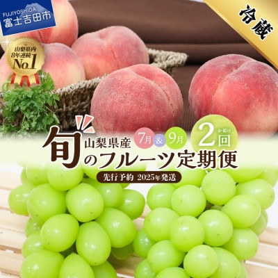 【発送月固定定期便】【2025年先行予約】 旬のフルーツ定期便(桃・シャインマスカット)全2回