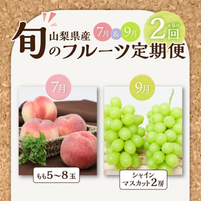 【発送月固定定期便】【2025年先行予約】 旬のフルーツ定期便(桃・シャインマスカット)全2回