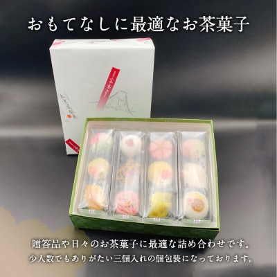 【先行予約】父の日ギフト上生菓子 12個セット 贈答用箱入り