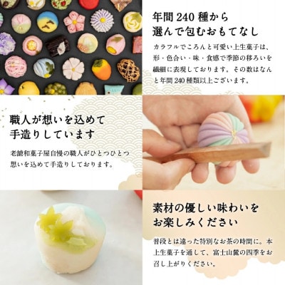 【発送月固定定期便】【富士夢和菓子】【定期便12回】「四季の上生菓子」12個入全12回