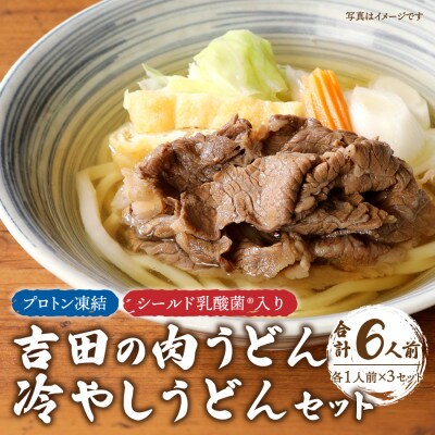 プロトン凍結　シールド乳酸菌(R)入り吉田の肉うどんセット1人前×3　冷やしうどんセット1人前×3