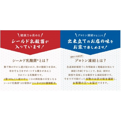 プロトン凍結　シールド乳酸菌(R)入り吉田の肉うどんセット1人前×3　冷やしうどんセット1人前×3