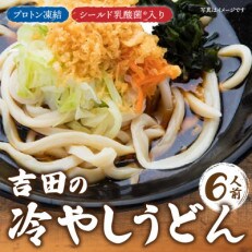 プロトン凍結　シールド乳酸菌(R)入り吉田の冷やしうどんセット(1人前×6セット)
