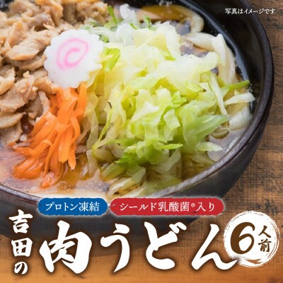 プロトン凍結　シールド乳酸菌(R)入り吉田の肉うどんセット(1人前×6セット)