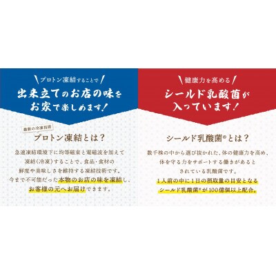 プロトン凍結　シールド乳酸菌(R)入り甲州ほうとうセット(1人前×4セット)