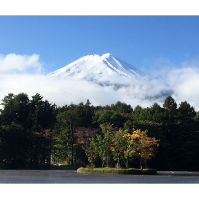 富士山のバナジウム天然水【富士山の原水20Lバッグインボックス】