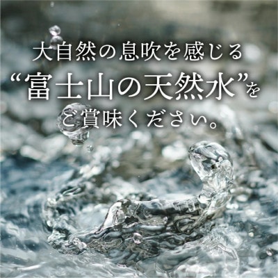 バナジウム天然水 500ml×24本×2箱 「富士山の麗水」5年保存水 長期保存・防災備蓄用にも最適