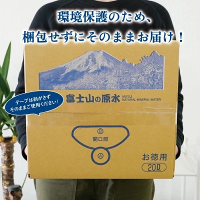 【毎月定期便】【12か月お届け】バナジウム天然水　定期便　富士山の原水　20L　BIB全12回
