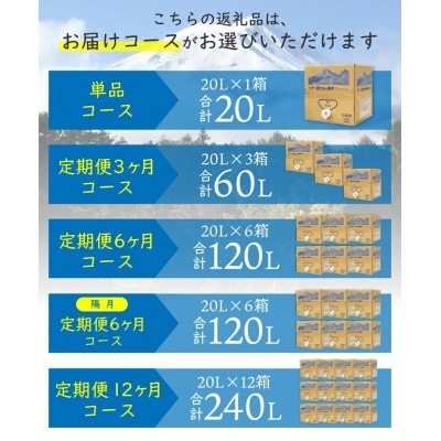 【毎月定期便】【12か月お届け】バナジウム天然水　定期便　富士山の原水　20L　BIB全12回