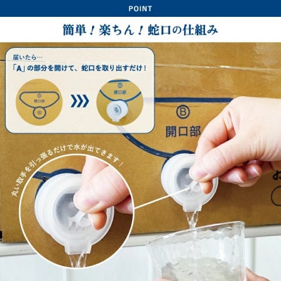 【毎月定期便】【3か月お届け】バナジウム天然水　定期便　富士山の原水　20L　BIB全3回